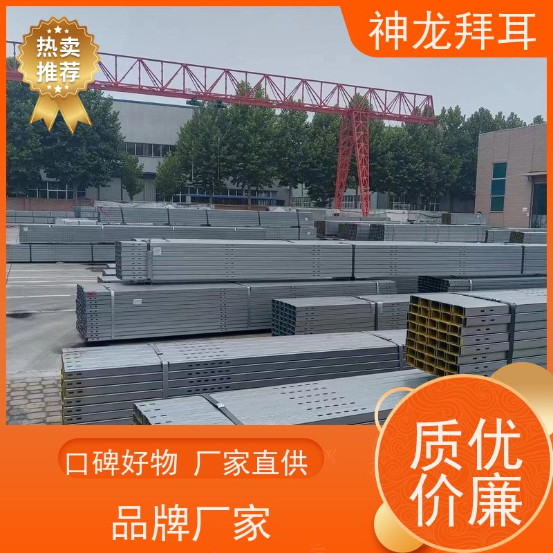 河北神龙拜耳 光伏支架有哪些 口碑推荐 生产厂家