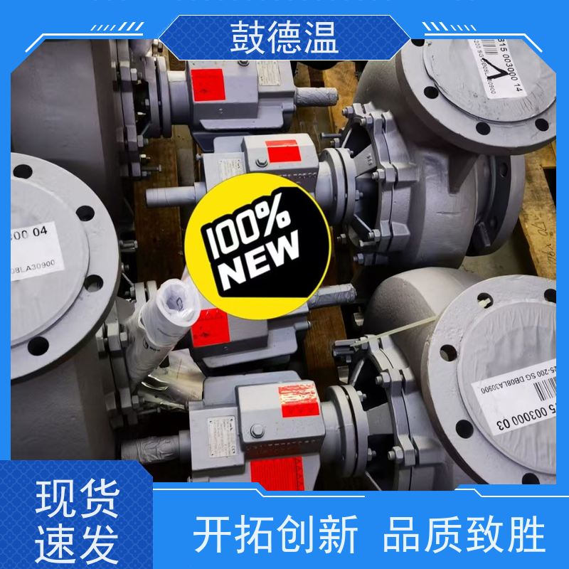 鼓德温 热油泵 ETNY200-150-400 机械密封 尺寸通用