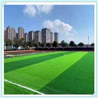 永州人造草坪足球草场草,学校足球场人造草,50mm足球场草