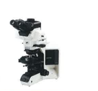 奥林巴斯Olympus偏光显微镜BX53P