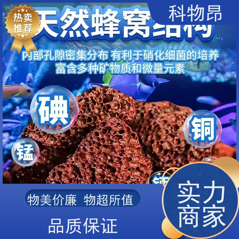 科物昂 滤材 火山岩造型用石料 型号kwa0001 颜色鲜艳
