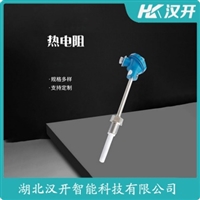 WRNK-430铂铑热电偶 汉开