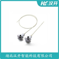 WRE2-221铂铑热电偶 汉开