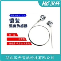 WRNK2-296铂铑热电偶 汉开