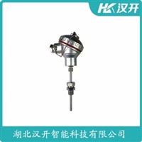 RNK-171铂铑热电偶 汉开