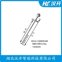 WZPK-24L-B铂铑热电偶 汉开