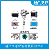 WZP-130K铂铑热电偶 汉开