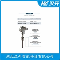 WRC2-130GT铂铑热电偶 汉开