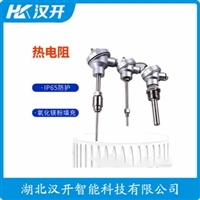 KD-602铂铑热电偶 汉开