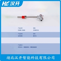 WRNK-482铂铑热电偶 汉开