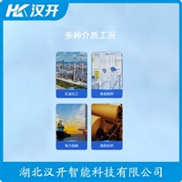 WRN2-230铂铑热电偶 汉开