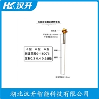 WRNK-491铂铑热电偶 汉开