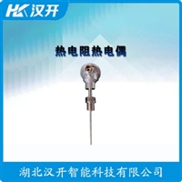 WRC2-131T铂铑热电偶 汉开