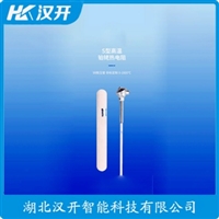 WRCK-481T铂铑热电偶 汉开