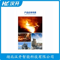 WRMK-161铂铑热电偶 汉开