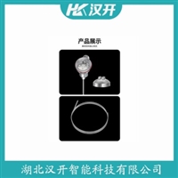 WZPK-406S铂铑热电阻 汉开