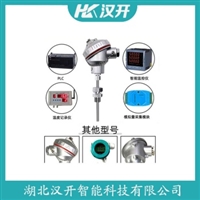 WZPK-424铂铑热电阻 汉开