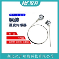 WZP2-260铂铑热电阻 汉开