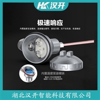 WZPK-166铂铑热电阻 汉开