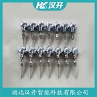 WZPK-504S铂铑热电阻 汉开