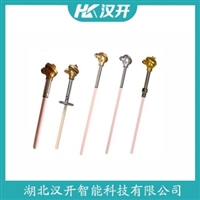 WZPK2铂铑热电阻 汉开