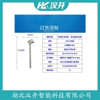 WZPK-406SA铂铑热电阻 汉开
