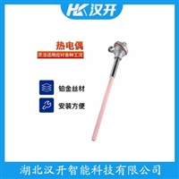 WZP2-269铂铑热电阻 汉开