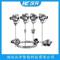 WZPT2-31铂铑热电阻 汉开