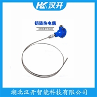 WZPK-105铂铑热电阻 汉开