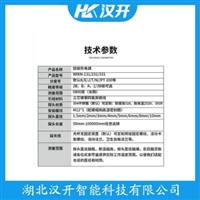 WZCF-130铂铑热电阻 汉开