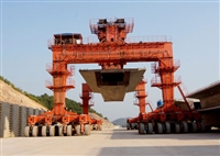 河北秦皇岛轮胎吊厂家 室内仓库与室外工地轮胎吊 的选型要求