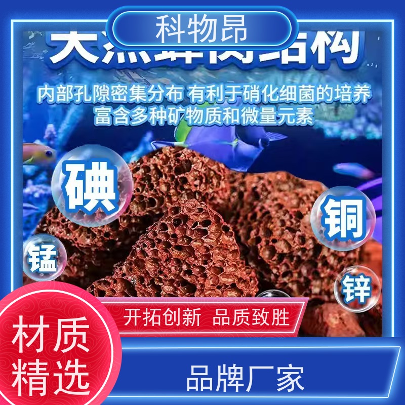科物昂 肥料 火山岩水体净化滤材过水过滤 型号kwa0001 合法开采