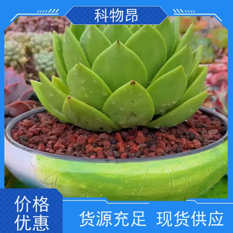 科物昂 地力提升 火山岩水体净化滤材过水过滤 重量可选 各种包装