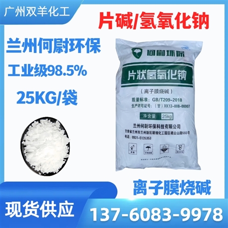 何尉环保片碱 离子膜98.5%氢氧化钠烧碱 工业小片火碱