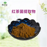 批发 红茶菌提取物