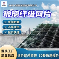 规格齐全玻璃纤维网片 耐腐蚀性强玻璃纤维网片 玻璃纤维网片