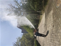 北京园林打药车 绿化浇水车出租 树木喷洒车出租