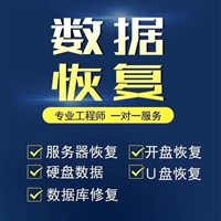 东芝硬盘数据恢复 东芝移动硬盘数据恢复
