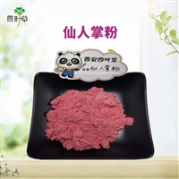 批发 仙人掌粉