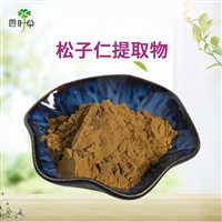 批发 松子仁提取物