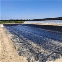 江西水产养殖池衬 2.0mm厚环保用GH-2S土工膜