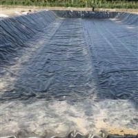 湖南地下室底板防潮幅宽5米环保用GH-2S土工膜