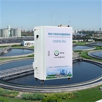 城镇污水厂臭气浓度在线监测仪 广西化粪池恶臭气体连续监测系统