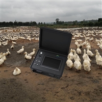 畜禽养殖现场便携式恶臭分析仪 企业环保巡查手提式恶臭气体分析仪