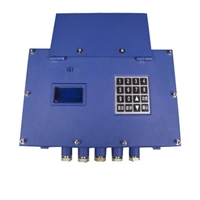 矿用隔爆兼本安型音箱 简易操作集成警报 矿用隔爆兼本安型音箱