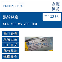 欧洲进口 EFFEPIZETA SCL K06-MS MOR IE3 涡轮风扇