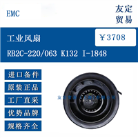 欧洲进口 EMC RB2C-220/063  I-1848 工业风扇