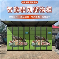  微信扫码联网智能储物柜电子存储柜水上乐园公园共享存包柜寄存柜