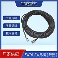 BWDL硅橡胶点火电缆 适配多系列高能点火器