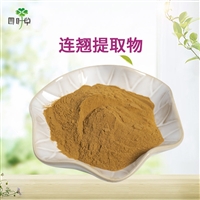 批发 连翘提取物